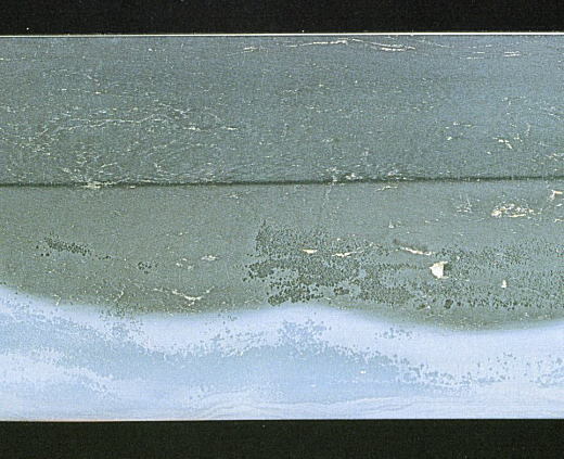 将軍山古墳(埼玉県)6世紀初頭.jpg