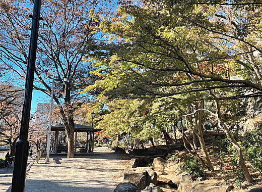 江戸川公園.jpg