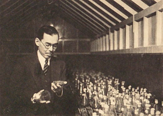 相馬孟胤(温室)1.jpg