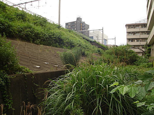 第一高田馬場仮駅跡.JPG