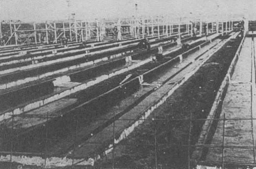米軍水耕栽培(府中).jpg