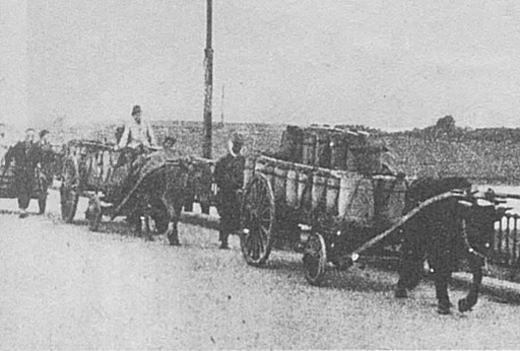 糞尿牛車.jpg