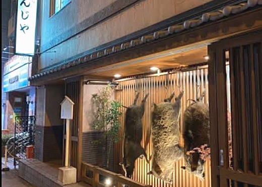 豊田屋1.jpg