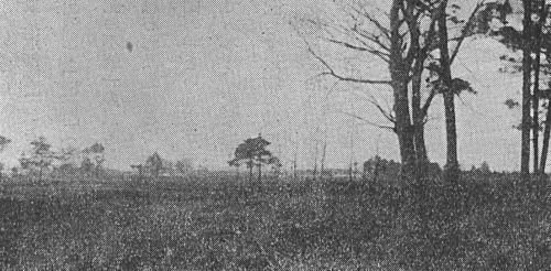 image002.jpg