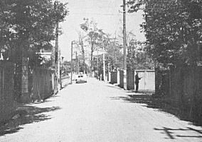 image005.jpg