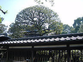 image007.jpg