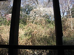 image010.jpg