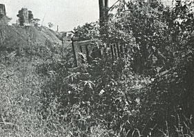 image012.jpg