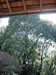 image031.jpg